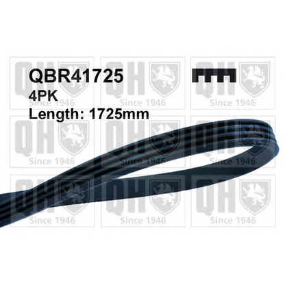 Photo V-Ribbed Belts QUINTON HAZELL QBR41725