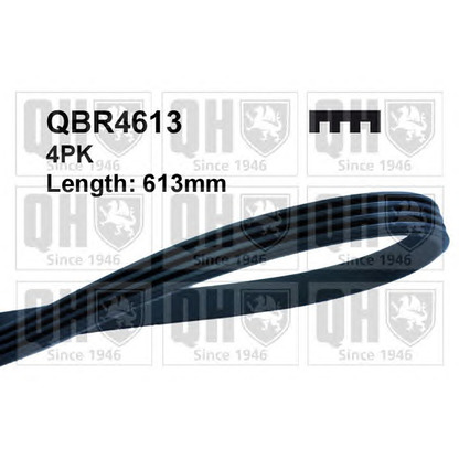 Photo V-Ribbed Belts QUINTON HAZELL QBR4613