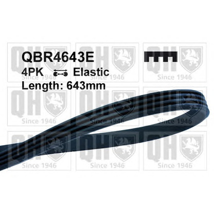 Photo V-Ribbed Belts QUINTON HAZELL QBR4643E