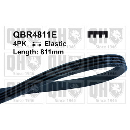 Photo V-Ribbed Belts QUINTON HAZELL QBR4811E