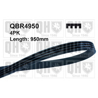 Photo V-Ribbed Belts QUINTON HAZELL QBR4950