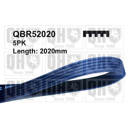 Photo V-Ribbed Belts QUINTON HAZELL QBR52020