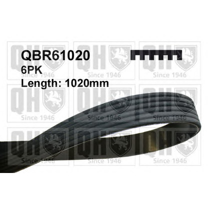 Photo V-Ribbed Belts QUINTON HAZELL QBR61020