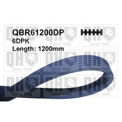 Photo V-Ribbed Belts QUINTON HAZELL QBR61200DP