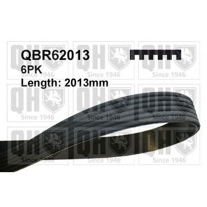 Photo V-Ribbed Belts QUINTON HAZELL QBR62013