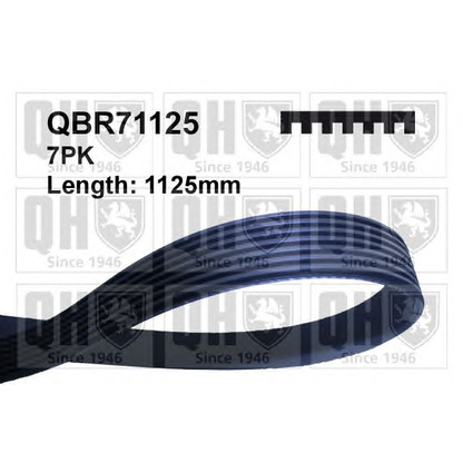 Photo V-Ribbed Belts QUINTON HAZELL QBR71125