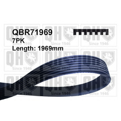 Photo V-Ribbed Belts QUINTON HAZELL QBR71969