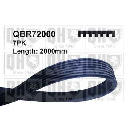 Photo V-Ribbed Belts QUINTON HAZELL QBR72000