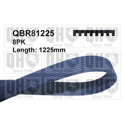 Photo V-Ribbed Belts QUINTON HAZELL QBR81225