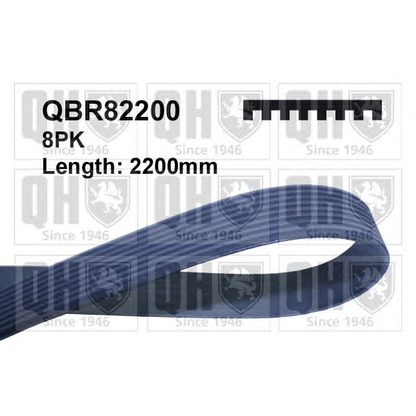 Photo V-Ribbed Belts QUINTON HAZELL QBR82200