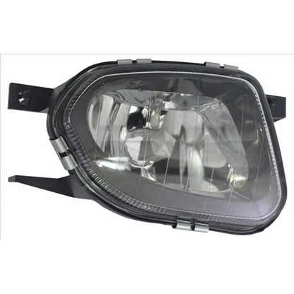 Photo Fog Light TYC 190449119