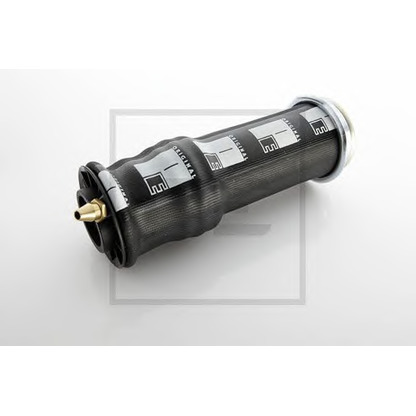 Photo Shock Absorber, cab suspension PE Automotive 12313600A