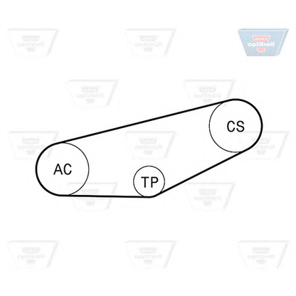 Photo Jeu de courroies trapézoïdales à nervures OPTIBELT 4PK855KT1