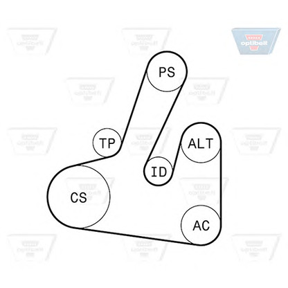 Фото Поликлиновой ременный комплект OPTIBELT 6PK1705KT1