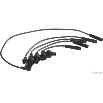 Photo Ignition Cable Kit HERTH+BUSS 51278106