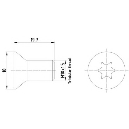 Foto Tornillo, disco de freno MINTEX TPM0011