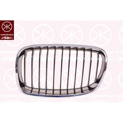 Photo Radiator Grille KLOKKERHOLM 0086992A1