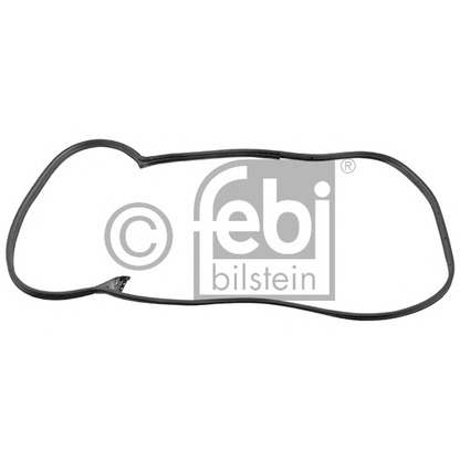 Фото Уплотнение двери FEBI BILSTEIN 08875