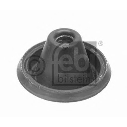 Foto Radiatore, Raffreddamento motore FEBI BILSTEIN 09962