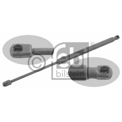 Photo Gas Spring, boot-/cargo area FEBI BILSTEIN 29404