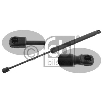 Photo Gas Spring, boot-/cargo area FEBI BILSTEIN 31684