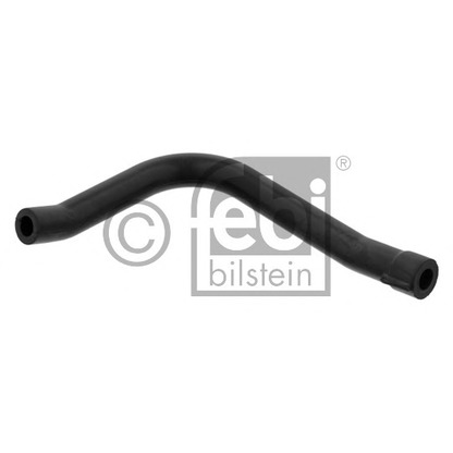 Foto Flessibile, Scarico aria copritestata FEBI BILSTEIN 33865