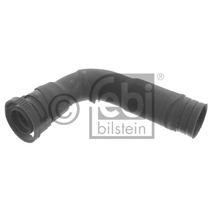 Foto Tubo flexible, ventilación bloque motor FEBI BILSTEIN 45319
